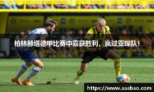 EBET易博在线