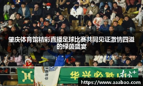EBET易博视讯