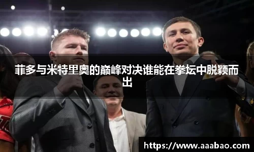 菲多与米特里奥的巅峰对决谁能在拳坛中脱颖而出